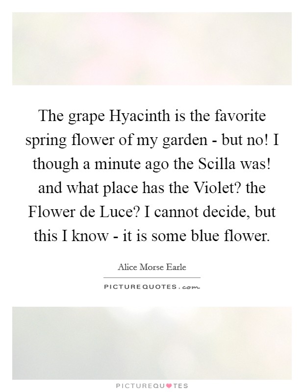 The grape Hyacinth is the favorite spring flower of my garden - but no! I though a minute ago the Scilla was! and what place has the Violet? the Flower de Luce? I cannot decide, but this I know - it is some blue flower Picture Quote #1