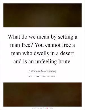 What do we mean by setting a man free? You cannot free a man who dwells in a desert and is an unfeeling brute Picture Quote #1