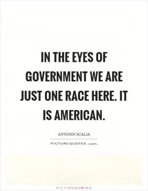 In the eyes of government we are just one race here. It is American Picture Quote #1
