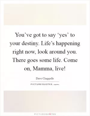 You’ve got to say ‘yes’ to your destiny. Life’s happening right now, look around you. There goes some life. Come on, Mamma, live! Picture Quote #1
