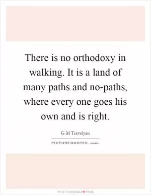 There is no orthodoxy in walking. It is a land of many paths and no-paths, where every one goes his own and is right Picture Quote #1