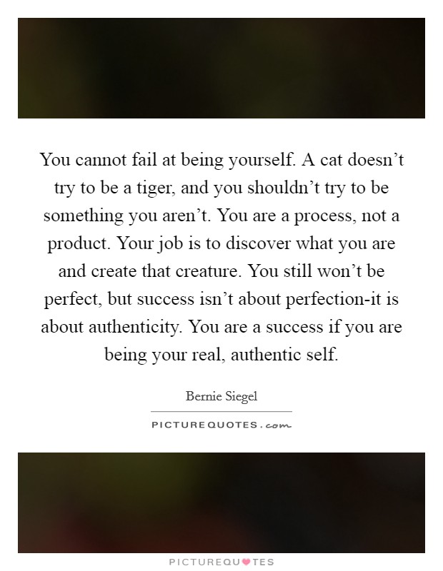 You cannot fail at being yourself. A cat doesn't try to be a tiger, and you shouldn't try to be something you aren't. You are a process, not a product. Your job is to discover what you are and create that creature. You still won't be perfect, but success isn't about perfection-it is about authenticity. You are a success if you are being your real, authentic self Picture Quote #1