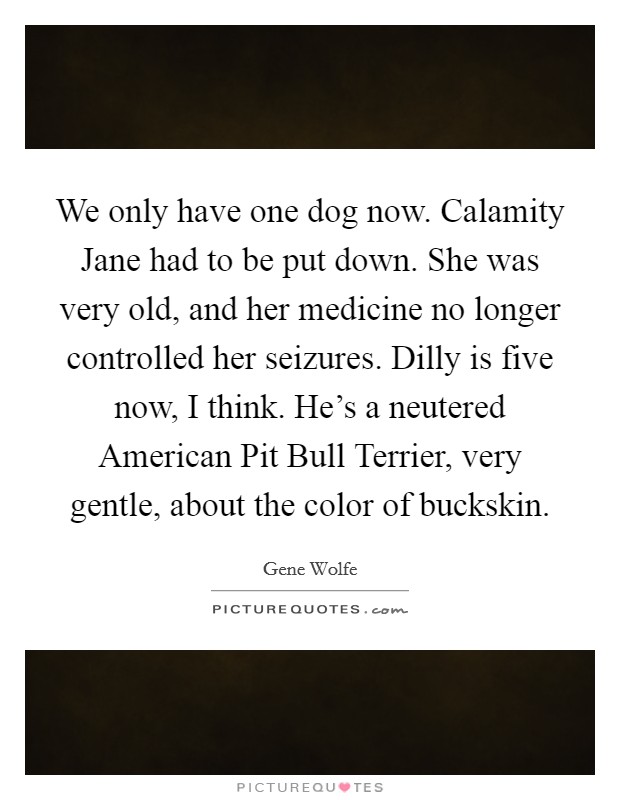 We only have one dog now. Calamity Jane had to be put down. She was very old, and her medicine no longer controlled her seizures. Dilly is five now, I think. He's a neutered American Pit Bull Terrier, very gentle, about the color of buckskin Picture Quote #1