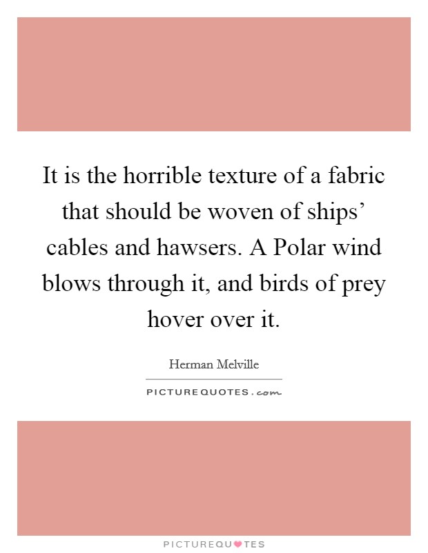 It is the horrible texture of a fabric that should be woven of ships' cables and hawsers. A Polar wind blows through it, and birds of prey hover over it Picture Quote #1