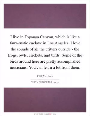 I live in Topanga Canyon, which is like a faux-rustic enclave in Los Angeles. I love the sounds of all the critters outside - the frogs, owls, crickets, and birds. Some of the birds around here are pretty accomplished musicians. You can learn a lot from them Picture Quote #1