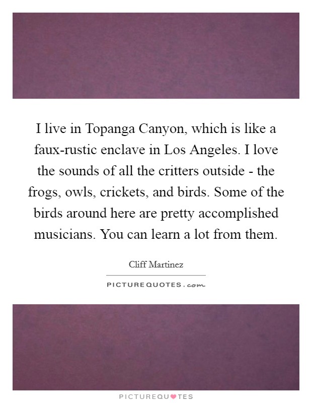 I live in Topanga Canyon, which is like a faux-rustic enclave in Los Angeles. I love the sounds of all the critters outside - the frogs, owls, crickets, and birds. Some of the birds around here are pretty accomplished musicians. You can learn a lot from them Picture Quote #1
