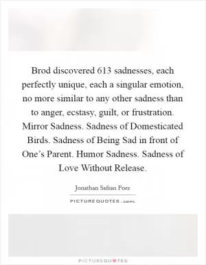 Brod discovered 613 sadnesses, each perfectly unique, each a singular emotion, no more similar to any other sadness than to anger, ecstasy, guilt, or frustration. Mirror Sadness. Sadness of Domesticated Birds. Sadness of Being Sad in front of One’s Parent. Humor Sadness. Sadness of Love Without Release Picture Quote #1