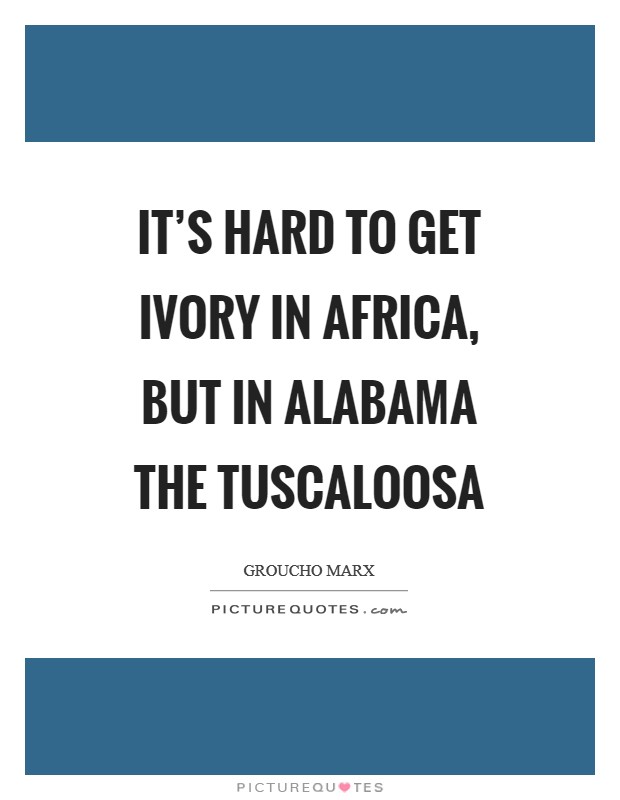 It's hard to get ivory in Africa, but in Alabama the Tuscaloosa Picture Quote #1