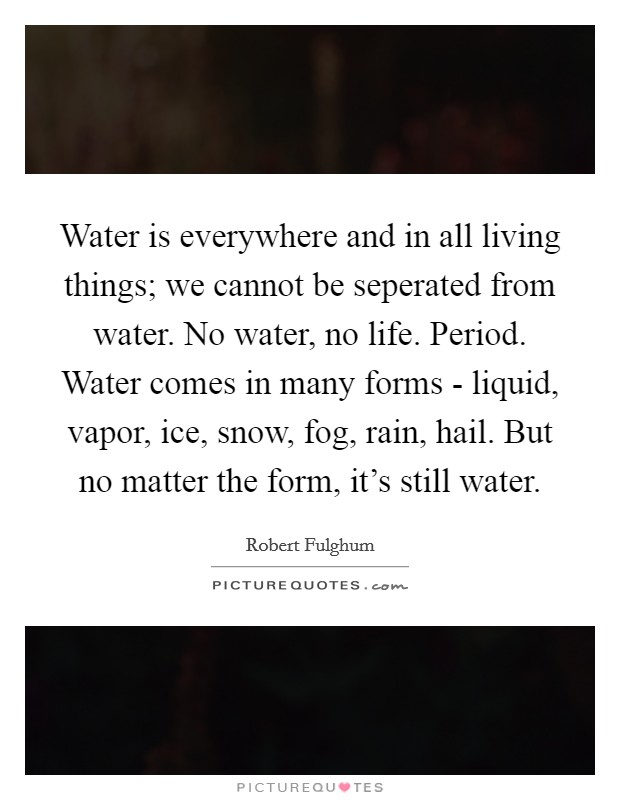 Water is everywhere and in all living things; we cannot be seperated from water. No water, no life. Period. Water comes in many forms - liquid, vapor, ice, snow, fog, rain, hail. But no matter the form, it's still water Picture Quote #1