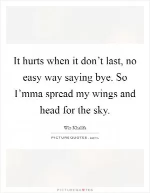 It hurts when it don’t last, no easy way saying bye. So I’mma spread my wings and head for the sky Picture Quote #1