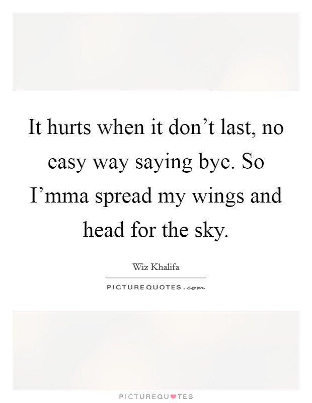 It hurts when it don't last, no easy way saying bye. So I'mma spread my wings and head for the sky Picture Quote #1