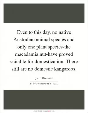 Even to this day, no native Australian animal species and only one plant species-the macadamia nut-have proved suitable for domestication. There still are no domestic kangaroos Picture Quote #1