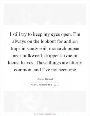 I still try to keep my eyes open. I’m always on the lookout for antlion traps in sandy soil, monarch pupae near milkweed, skipper larvae in locust leaves. These things are utterly common, and I’ve not seen one Picture Quote #1