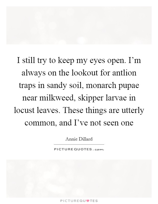 I still try to keep my eyes open. I'm always on the lookout for antlion traps in sandy soil, monarch pupae near milkweed, skipper larvae in locust leaves. These things are utterly common, and I've not seen one Picture Quote #1