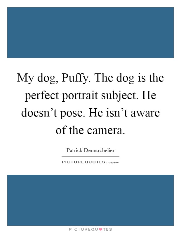 My dog, Puffy. The dog is the perfect portrait subject. He doesn't pose. He isn't aware of the camera Picture Quote #1