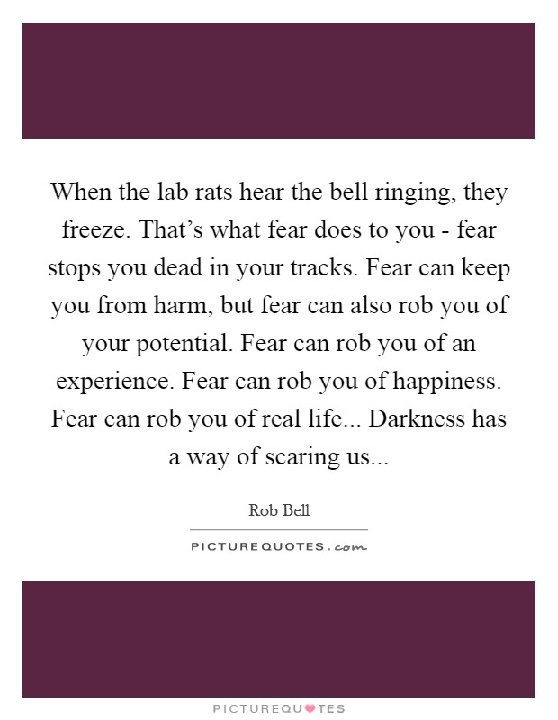 When the lab rats hear the bell ringing, they freeze. That's what fear does to you - fear stops you dead in your tracks. Fear can keep you from harm, but fear can also rob you of your potential. Fear can rob you of an experience. Fear can rob you of happiness. Fear can rob you of real life... Darkness has a way of scaring us Picture Quote #1