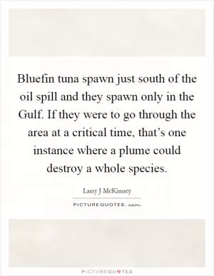 Bluefin tuna spawn just south of the oil spill and they spawn only in the Gulf. If they were to go through the area at a critical time, that’s one instance where a plume could destroy a whole species Picture Quote #1