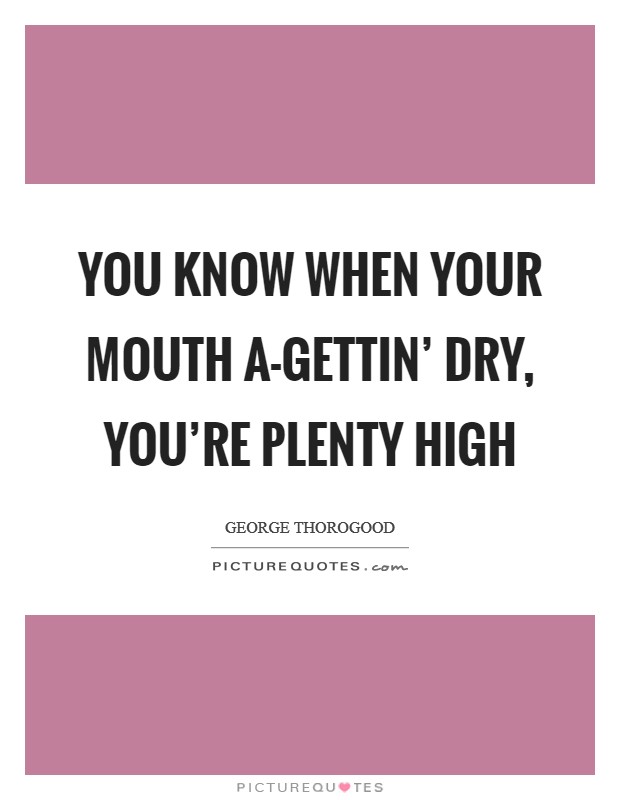 You know when your mouth a-gettin' dry, you're plenty high Picture Quote #1