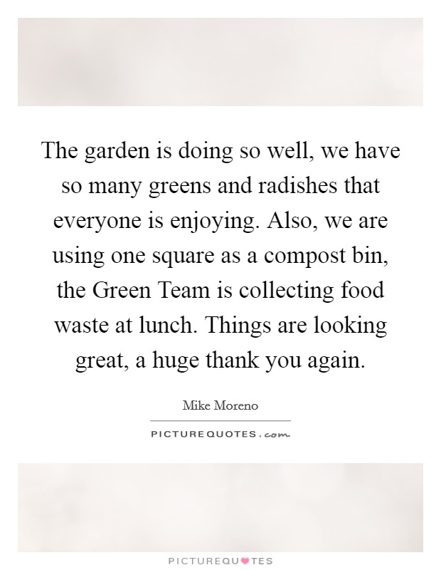 The garden is doing so well, we have so many greens and radishes that everyone is enjoying. Also, we are using one square as a compost bin, the Green Team is collecting food waste at lunch. Things are looking great, a huge thank you again Picture Quote #1
