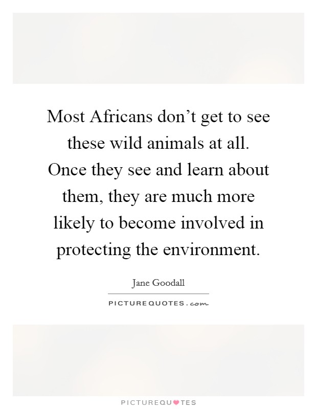 Most Africans don't get to see these wild animals at all. Once they see and learn about them, they are much more likely to become involved in protecting the environment Picture Quote #1