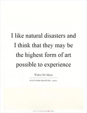 I like natural disasters and I think that they may be the highest form of art possible to experience Picture Quote #1