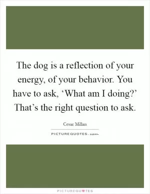 The dog is a reflection of your energy, of your behavior. You have to ask, ‘What am I doing?’ That’s the right question to ask Picture Quote #1