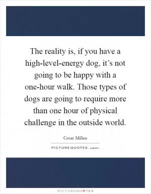 The reality is, if you have a high-level-energy dog, it’s not going to be happy with a one-hour walk. Those types of dogs are going to require more than one hour of physical challenge in the outside world Picture Quote #1