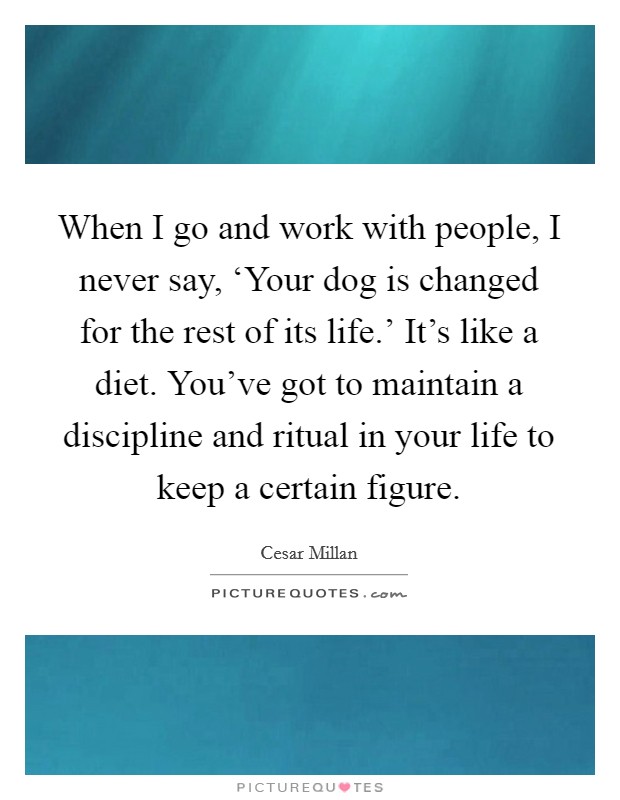 When I go and work with people, I never say, ‘Your dog is changed for the rest of its life.' It's like a diet. You've got to maintain a discipline and ritual in your life to keep a certain figure Picture Quote #1