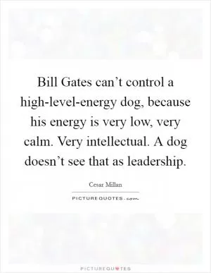 Bill Gates can’t control a high-level-energy dog, because his energy is very low, very calm. Very intellectual. A dog doesn’t see that as leadership Picture Quote #1