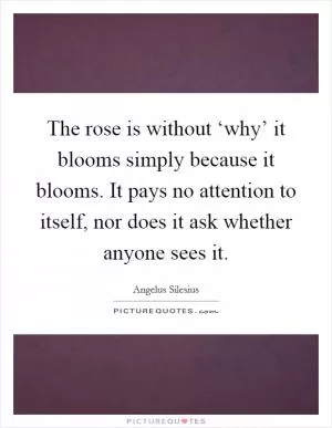 The rose is without ‘why’ it blooms simply because it blooms. It pays no attention to itself, nor does it ask whether anyone sees it Picture Quote #1