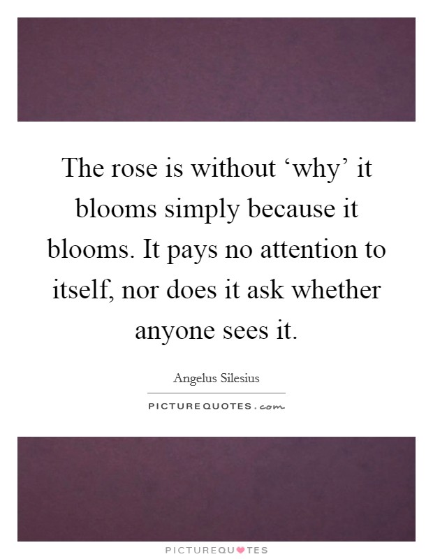 The rose is without ‘why' it blooms simply because it blooms. It pays no attention to itself, nor does it ask whether anyone sees it Picture Quote #1