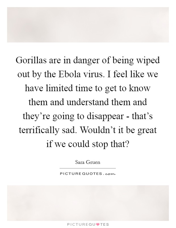 Gorillas are in danger of being wiped out by the Ebola virus. I feel like we have limited time to get to know them and understand them and they're going to disappear - that's terrifically sad. Wouldn't it be great if we could stop that? Picture Quote #1