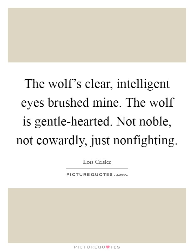 The wolf's clear, intelligent eyes brushed mine. The wolf is gentle-hearted. Not noble, not cowardly, just nonfighting Picture Quote #1