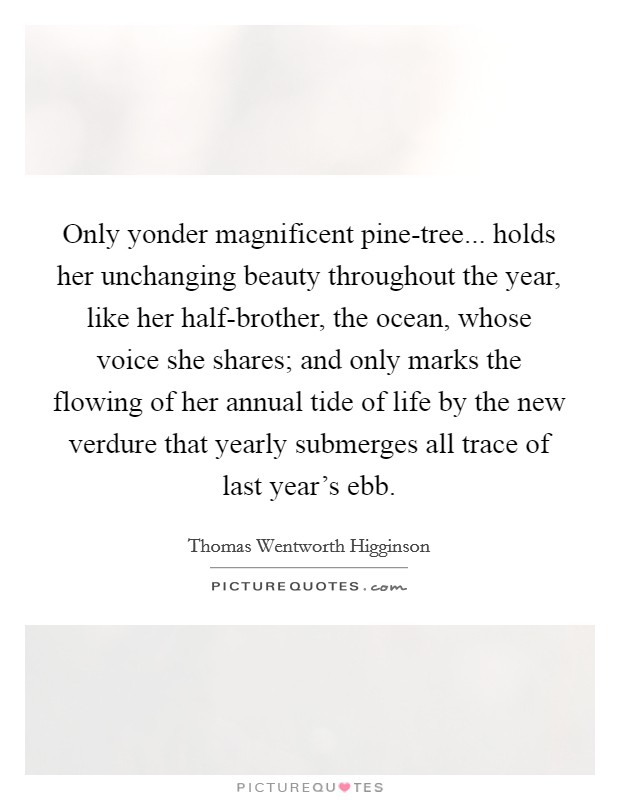 Only yonder magnificent pine-tree... holds her unchanging beauty throughout the year, like her half-brother, the ocean, whose voice she shares; and only marks the flowing of her annual tide of life by the new verdure that yearly submerges all trace of last year's ebb Picture Quote #1