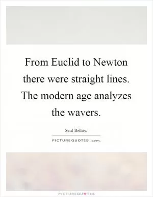 From Euclid to Newton there were straight lines. The modern age analyzes the wavers Picture Quote #1