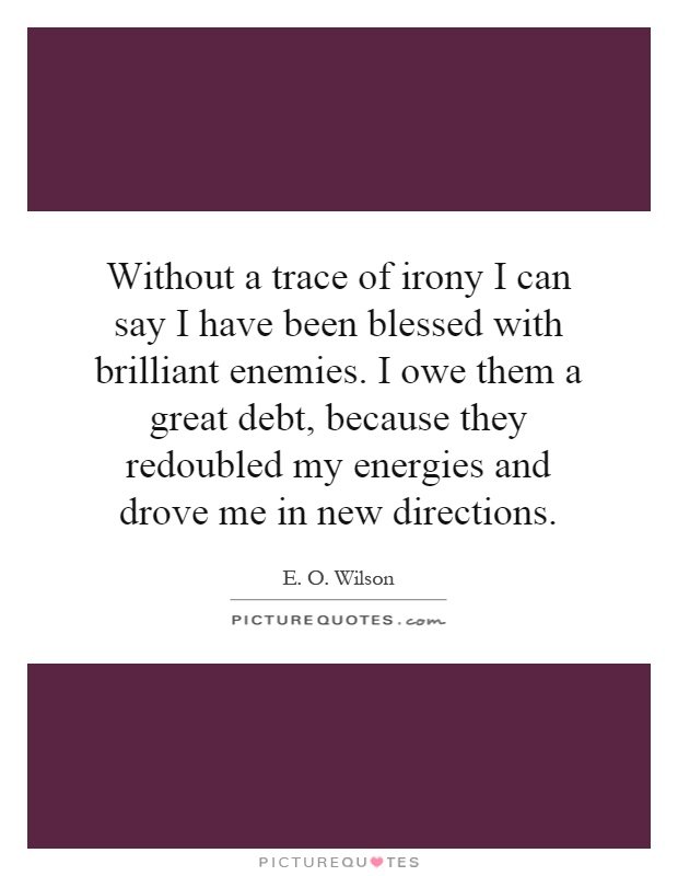 Without a trace of irony I can say I have been blessed with brilliant enemies. I owe them a great debt, because they redoubled my energies and drove me in new directions Picture Quote #1