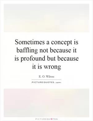 Sometimes a concept is baffling not because it is profound but because it is wrong Picture Quote #1