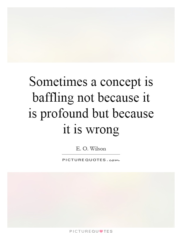 Sometimes a concept is baffling not because it is profound but because it is wrong Picture Quote #1