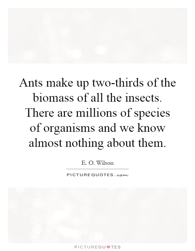Ants make up two-thirds of the biomass of all the insects. There are millions of species of organisms and we know almost nothing about them Picture Quote #1