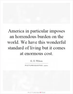 America in particular imposes an horrendous burden on the world. We have this wonderful standard of living but it comes at enormous cost Picture Quote #1