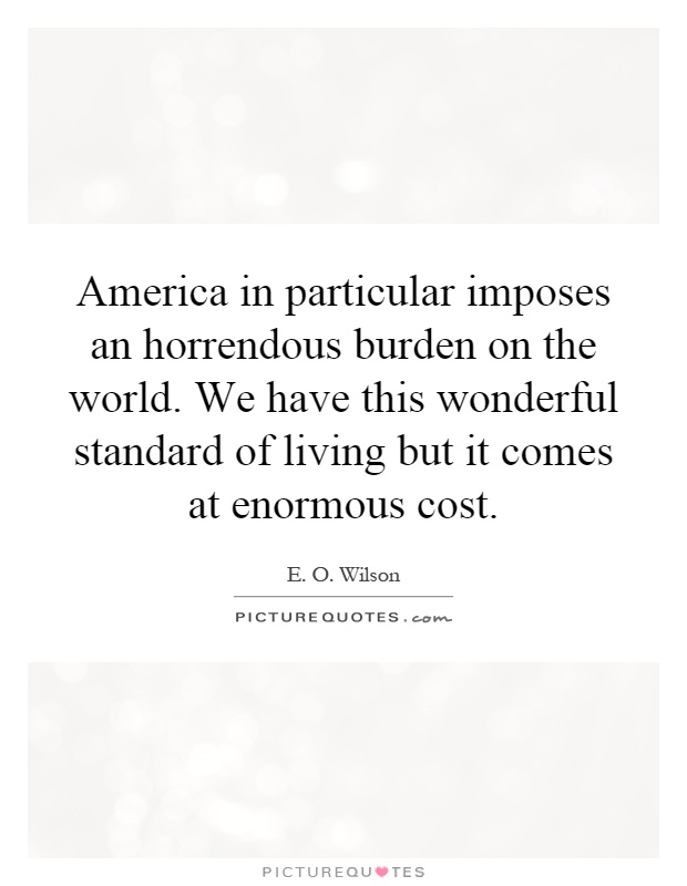 America in particular imposes an horrendous burden on the world. We have this wonderful standard of living but it comes at enormous cost Picture Quote #1