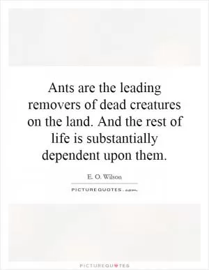 Ants are the leading removers of dead creatures on the land. And the rest of life is substantially dependent upon them Picture Quote #1