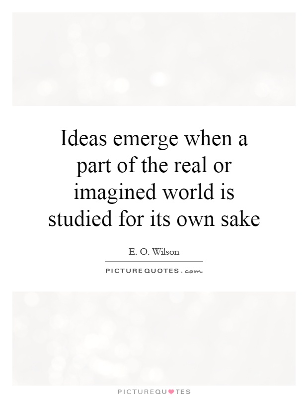 Ideas emerge when a part of the real or imagined world is studied for its own sake Picture Quote #1