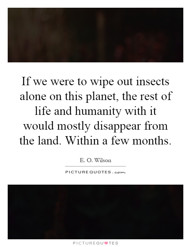 If we were to wipe out insects alone on this planet, the rest of life and humanity with it would mostly disappear from the land. Within a few months Picture Quote #1