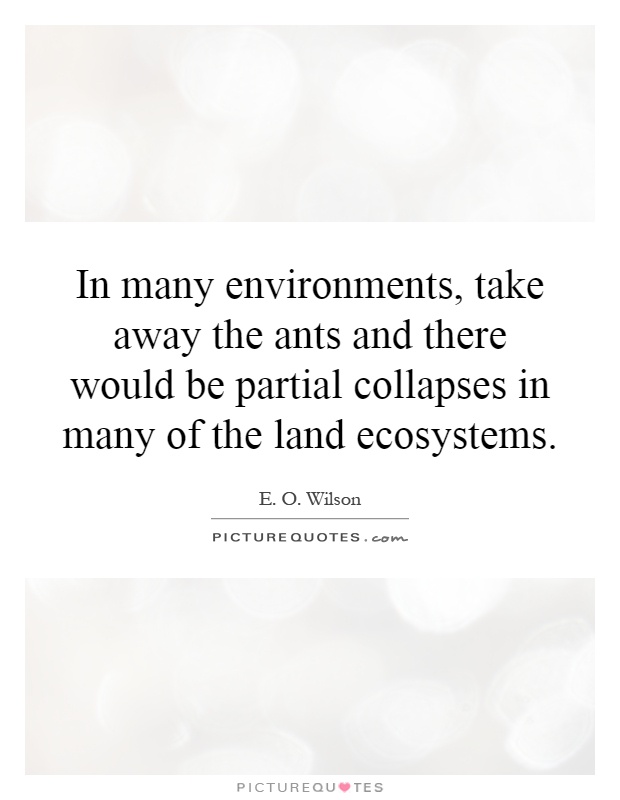 In many environments, take away the ants and there would be partial collapses in many of the land ecosystems Picture Quote #1