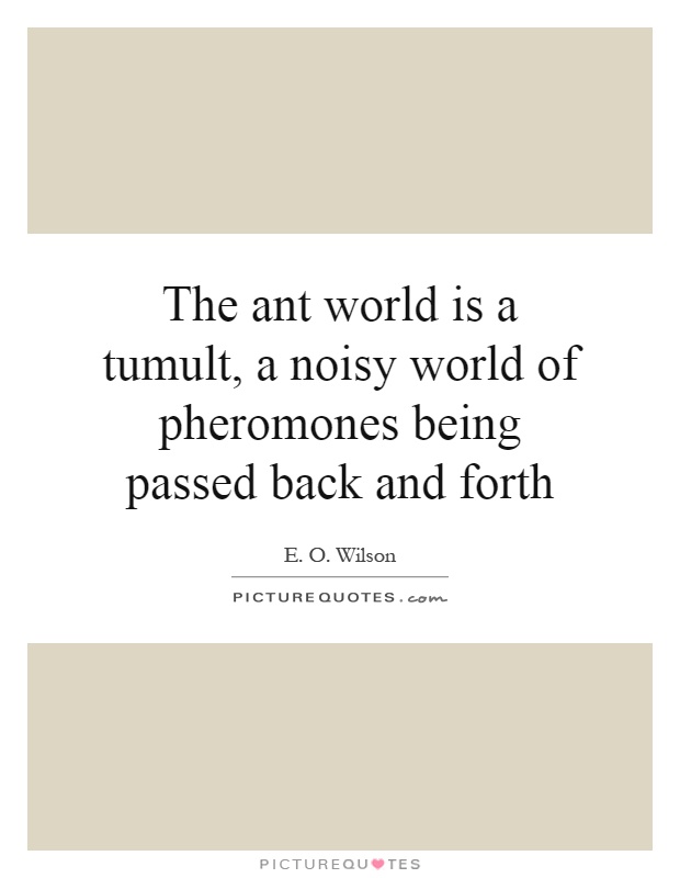 The ant world is a tumult, a noisy world of pheromones being passed back and forth Picture Quote #1