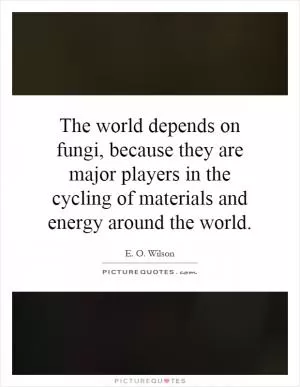 The world depends on fungi, because they are major players in the cycling of materials and energy around the world Picture Quote #1