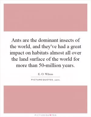 Ants are the dominant insects of the world, and they've had a great impact on habitats almost all over the land surface of the world for more than 50-million years Picture Quote #1