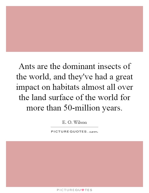 Ants are the dominant insects of the world, and they've had a great impact on habitats almost all over the land surface of the world for more than 50-million years Picture Quote #1