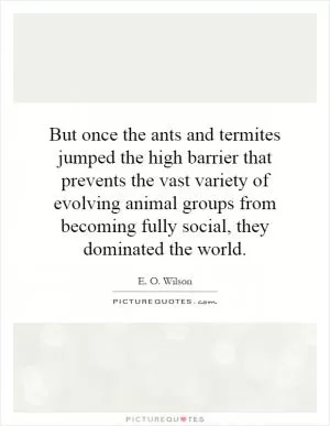 But once the ants and termites jumped the high barrier that prevents the vast variety of evolving animal groups from becoming fully social, they dominated the world Picture Quote #1